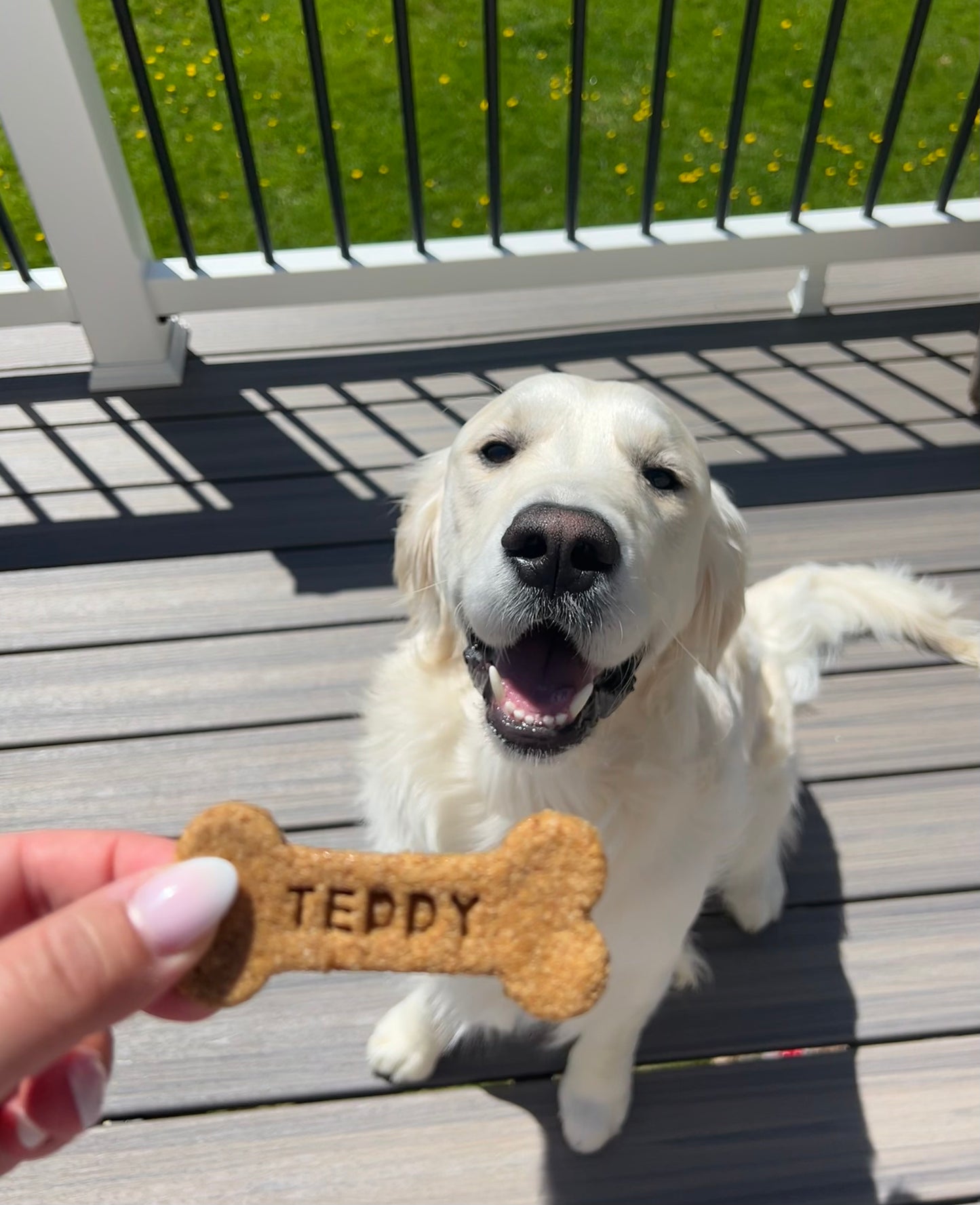 Personalized Bones