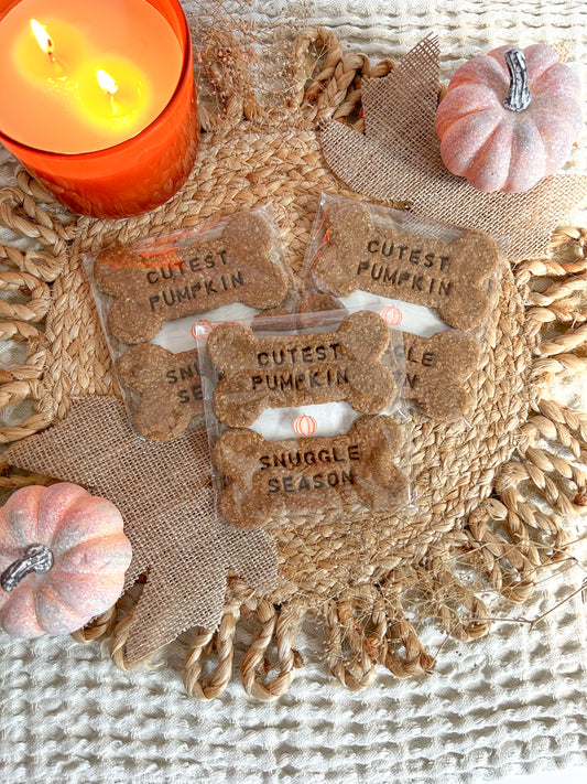 Fall Stamped Set
