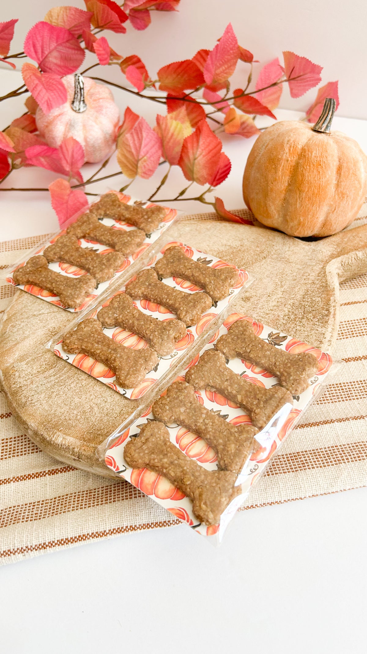 4 Pack Mini Bones